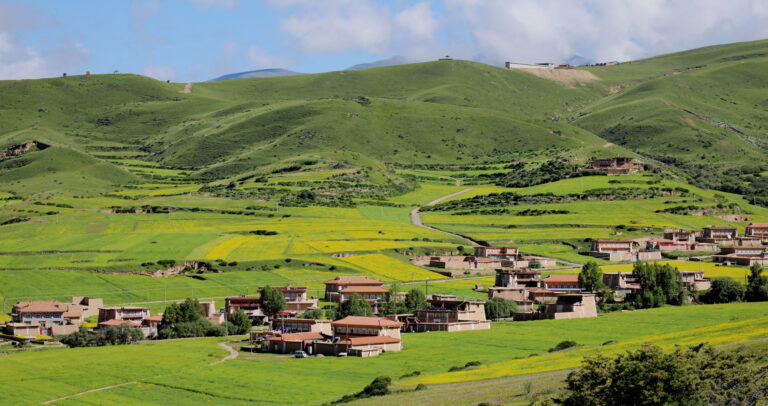 Splendid Landscape in the light - Scent of Yellow Flowers